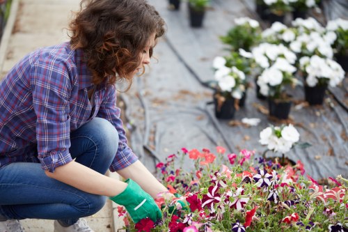 Landscape gardening work in a Wembley residential garden