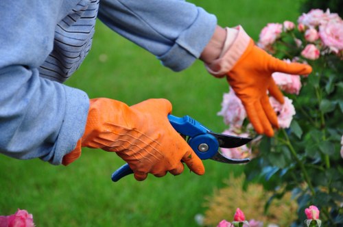Workers identifying hazards before landscaping work begins