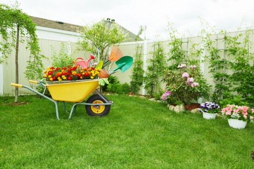 Professional hedge trimming for a residential property in Wembley