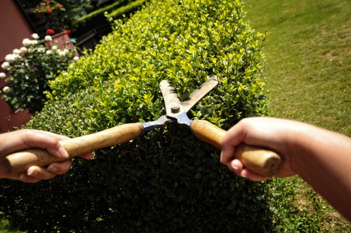 Written complaint outcome confirmation for landscaping services