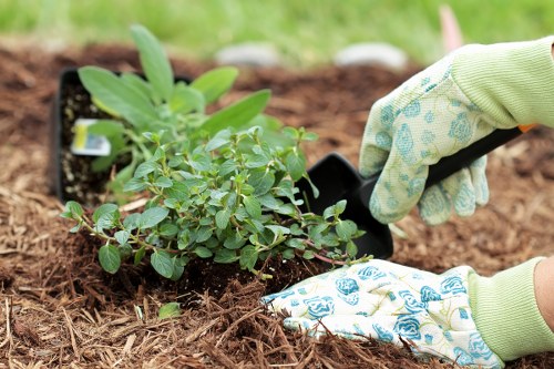 Garden waste removal pricing in Wembley with clear load-based quotes