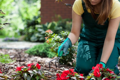 Risk control and subcontractor checks for Wembley landscaping projects