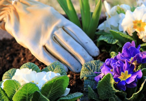 Colourful planting scheme designed for a Wembley residential property