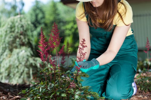 Professional garden care for a Wembley property with pathway edging and lawn maintenance