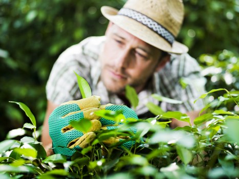 Charity partnership receiving reusable garden materials from landscapers
