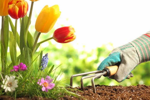 Free quote process for landscapers in Wembley with transparent rates