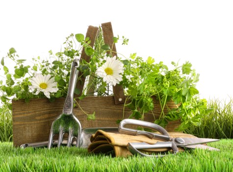 Low-maintenance garden transformation in Wembley