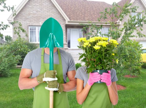 Professional tree lopping and removal service for Wembley homes and businesses
