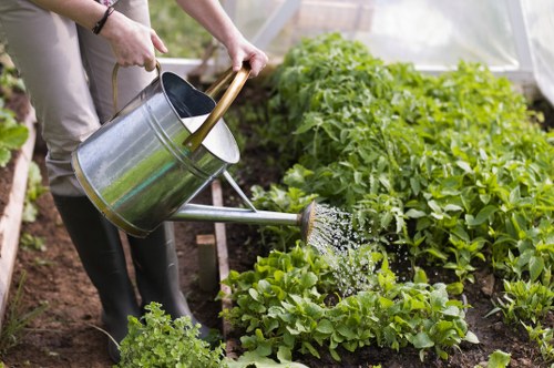 Commercial outdoor maintenance and landscaping in Wembley
